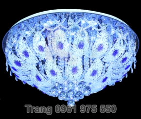 Đèn LED Mâm Ốp Trần Tròn 9613