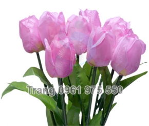 Đèn LED Cắm Cỏ Bộ 10 Hoa Tulip Hồng
