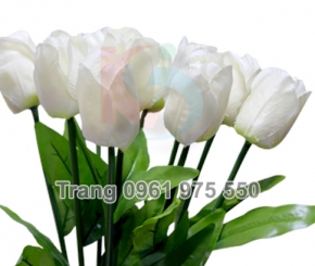 Đèn LED Cắm Cỏ Bộ 10 Hoa Tulip Trắng